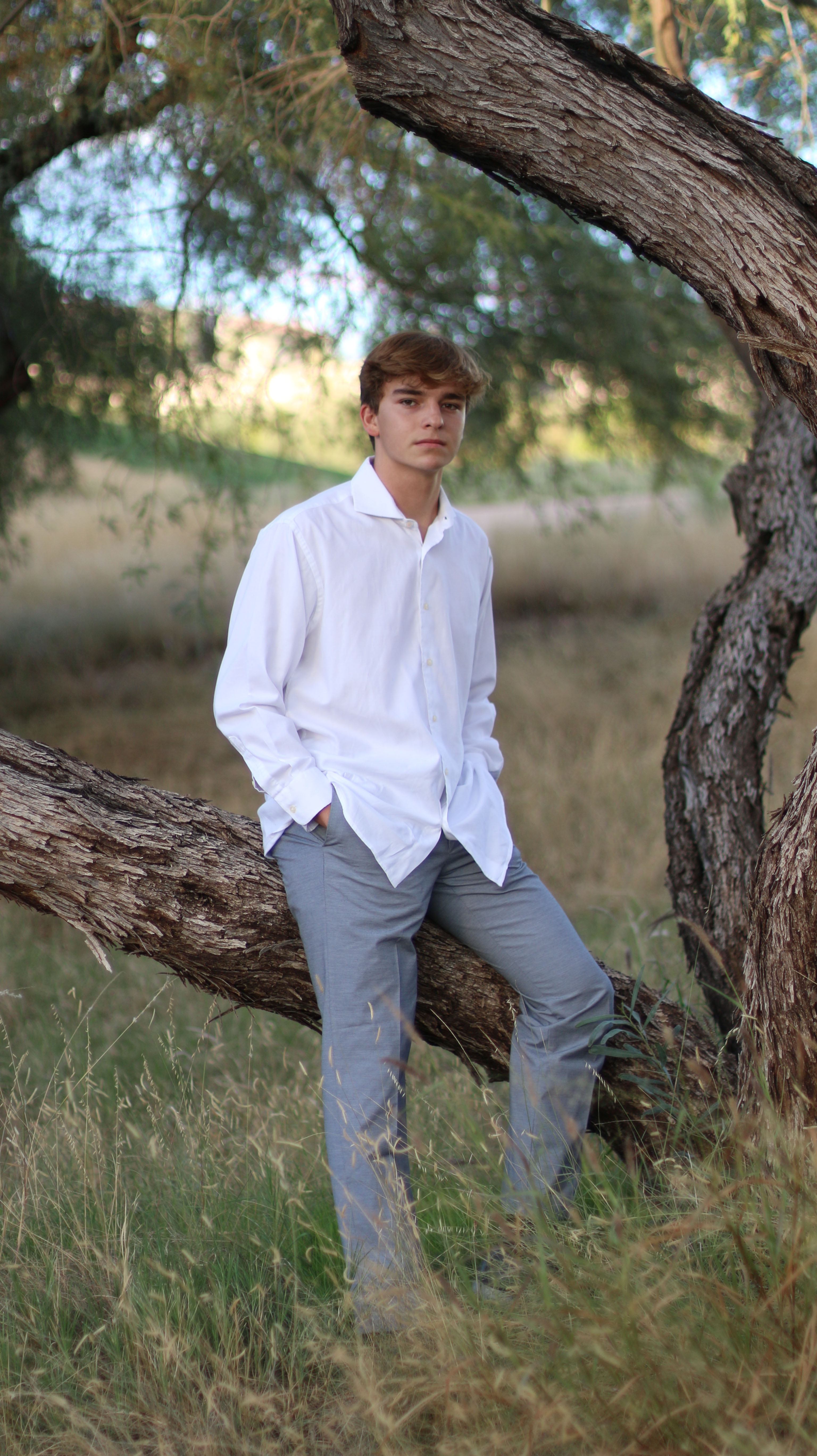 Young man in white shirt leaning against a curved tree trunk in a grassy field