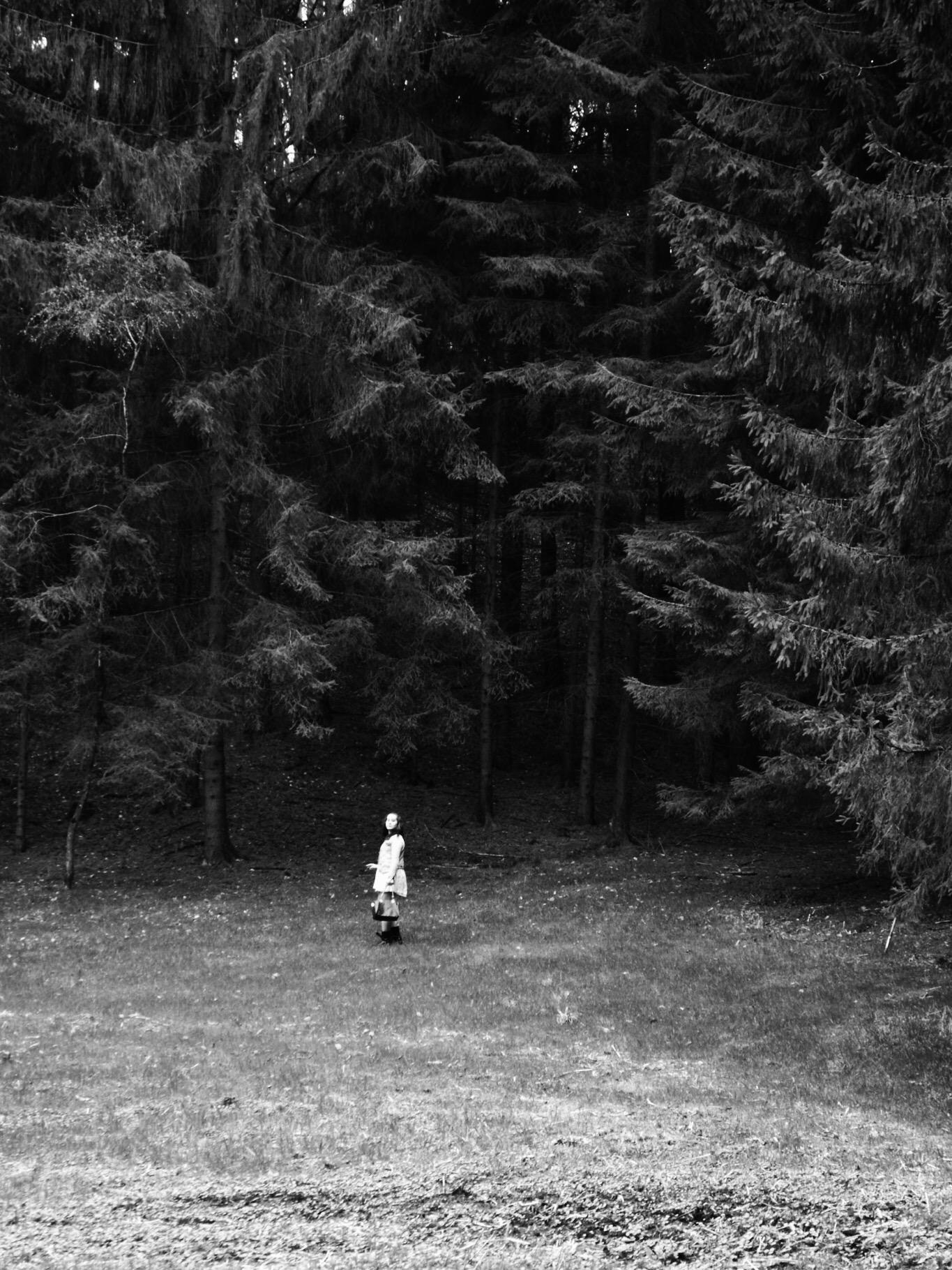 Young women in the distance at the beginning of a forest