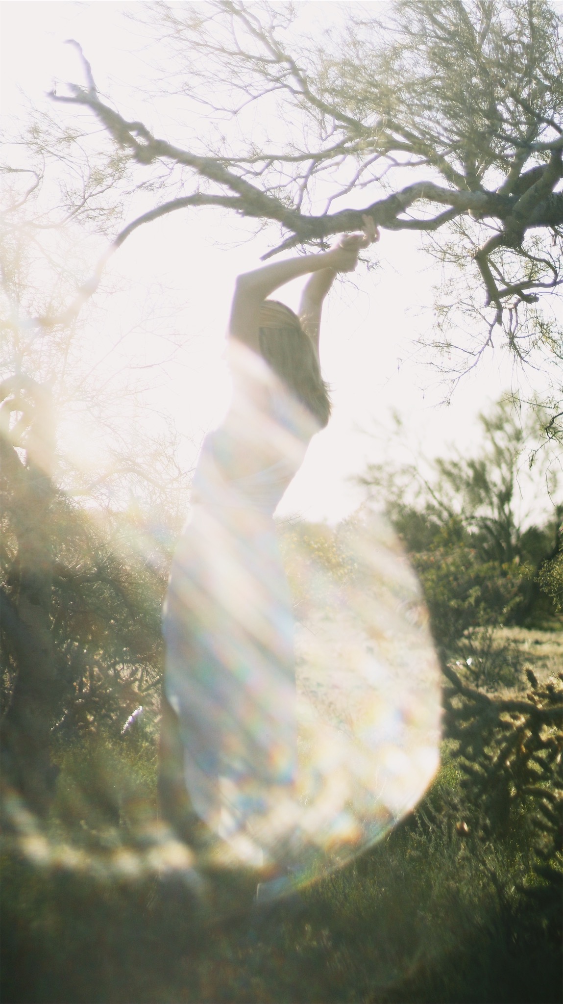 Young women under a tree with the sun glaring in the lense 3